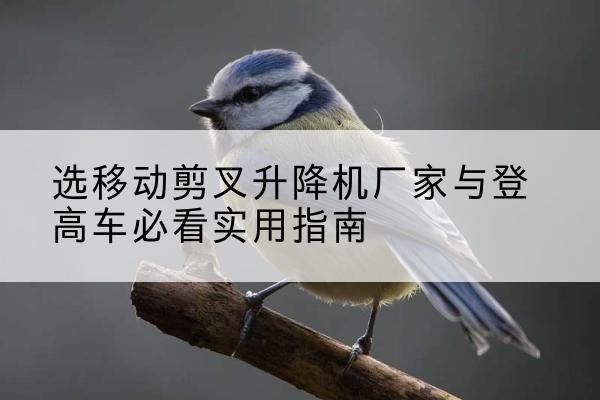 赤城电动升降机厂家-选移动剪叉升降机厂家与登高车必看实用指南
