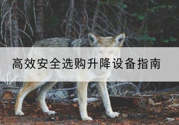 赤城升降货梯厂家推荐-*安全选购升降设备指南